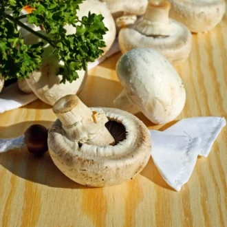 Салат с маринованными грибами